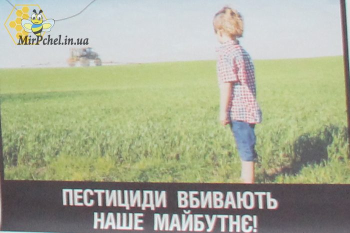 Пасічники України проти пестицидів